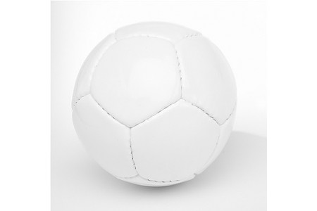 Arena Polo Ball